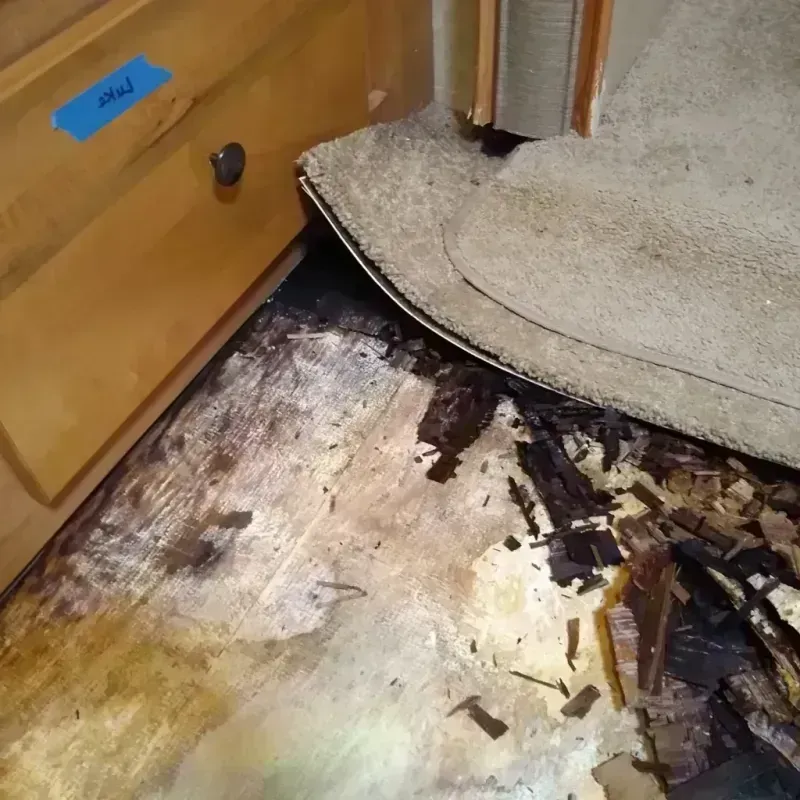 Wood Floor Water Damage in Minnetonka, MN